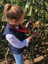 Load image into Gallery viewer, SCiO Sweet Corn Moisture Analyzer - 1 Year Subscription only
